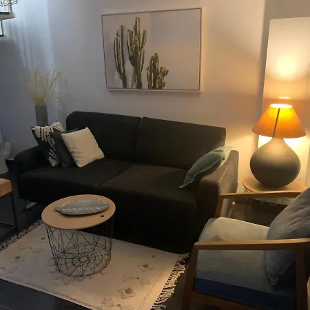 Duplex Indépendant Avec Accès Piscine Appartement